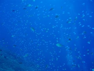 PB100071.JPG