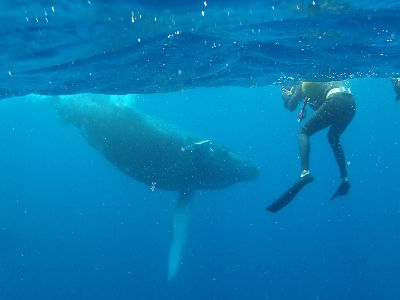 22/03/04　何事も決して楽な道などない。　沖縄本島