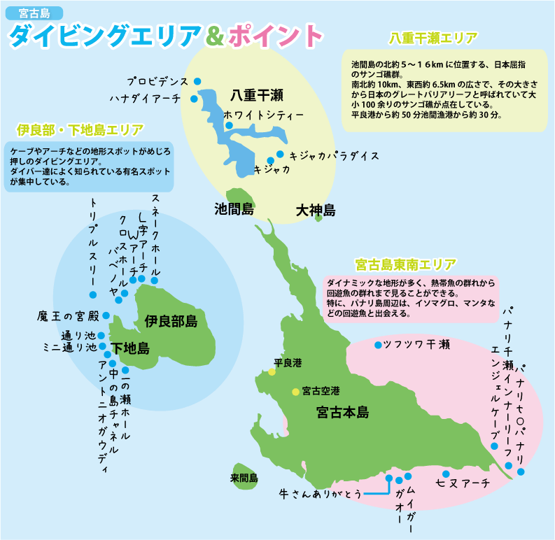 13/12/05　宮古島ツアー報告！！　沖縄本島